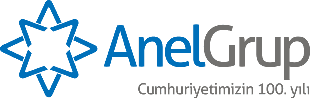 Anel Group